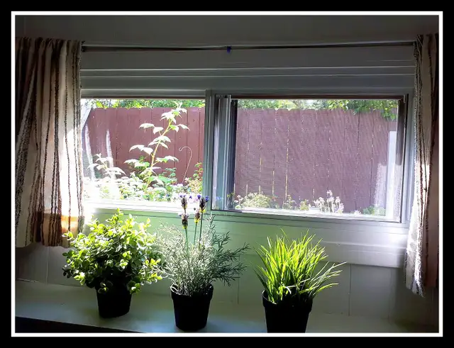 SHARED ACCOMMODATION~ PRIVATE BASEMENT SUITE NEAR CHINOOK - Photo 5