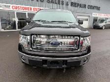 2013 Ford F-150 XLT CREW 4X4 / 5.0L / ONLY 24354 ! NO ACCIDENTS - Photo 7