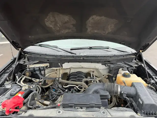 2013 Ford F-150 XLT CREW 4X4 / 5.0L / ONLY 24354 ! NO ACCIDENTS - Photo 10