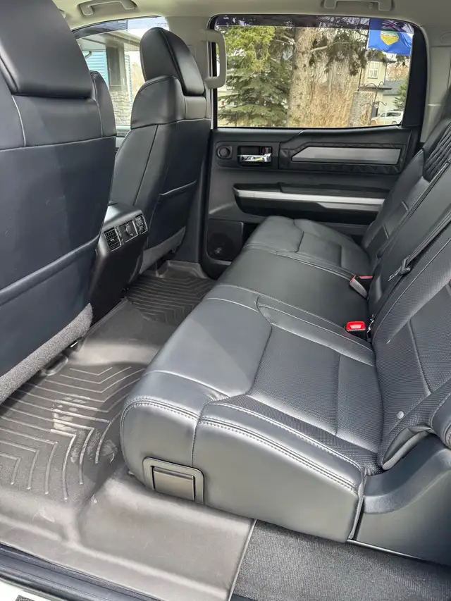 2015 Toyota Tundra Platinum - Photo 9