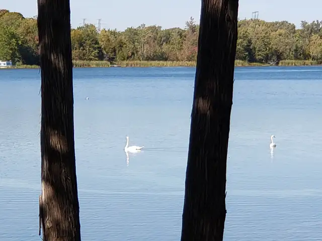 Furnished Room in Waterfront Home