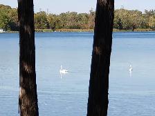 Furnished Room in Waterfront Home