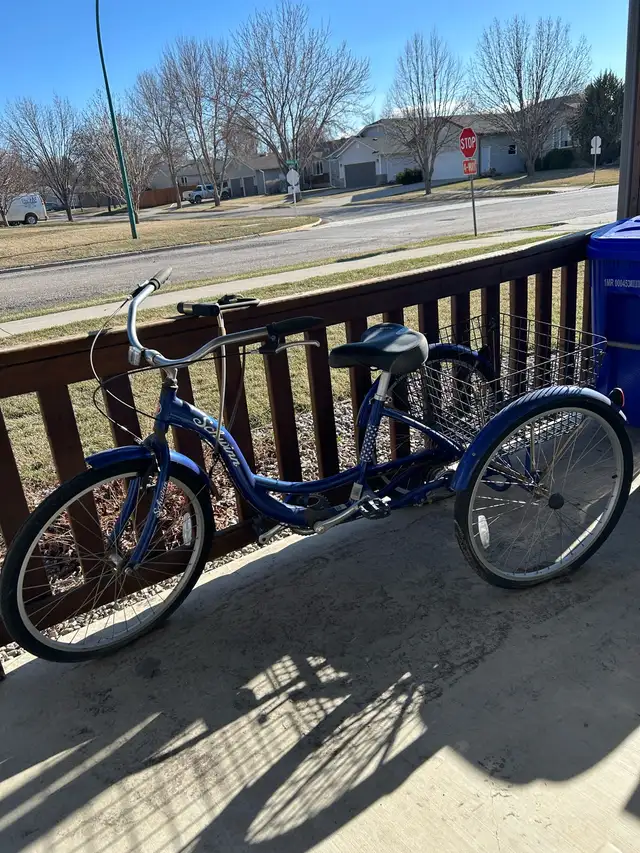 Adult One Speed Tricycle for sale