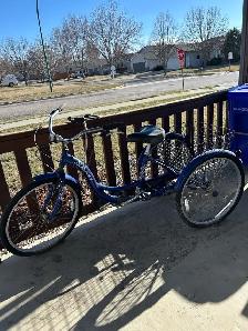Adult One Speed Tricycle for sale
