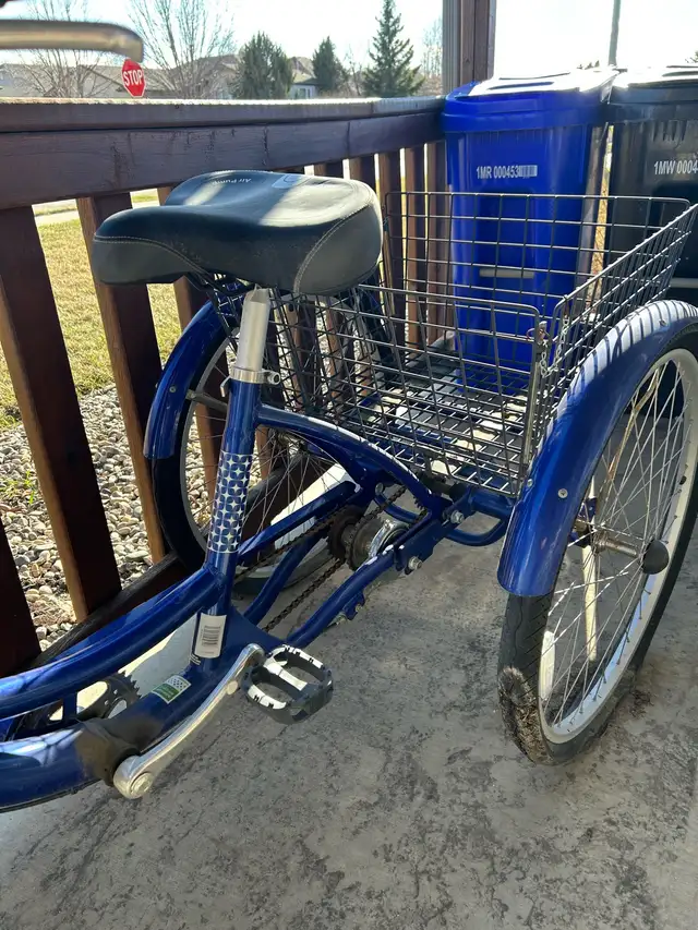 Adult One Speed Tricycle for sale - Photo 3