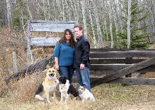 Dog Training and Trainers for Busy People