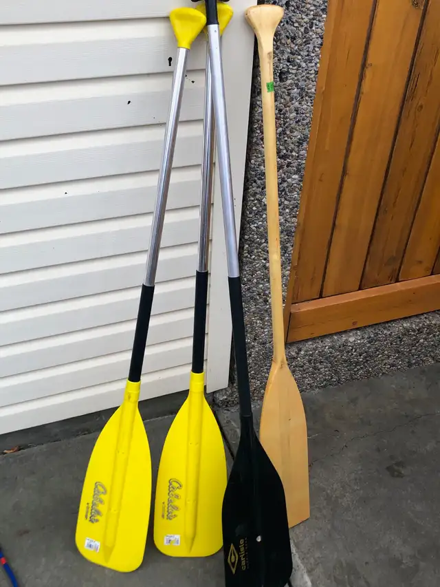 CANOEING ADVENTURE ($1500.) - Photo 7