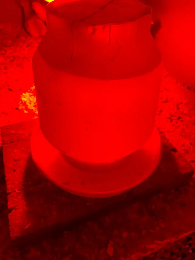 Chicks plus waterers and feeders for sale