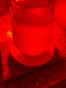 Chicks plus waterers and feeders for sale