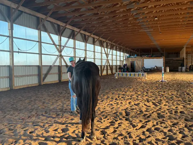 2 year old wb cross - Photo 7