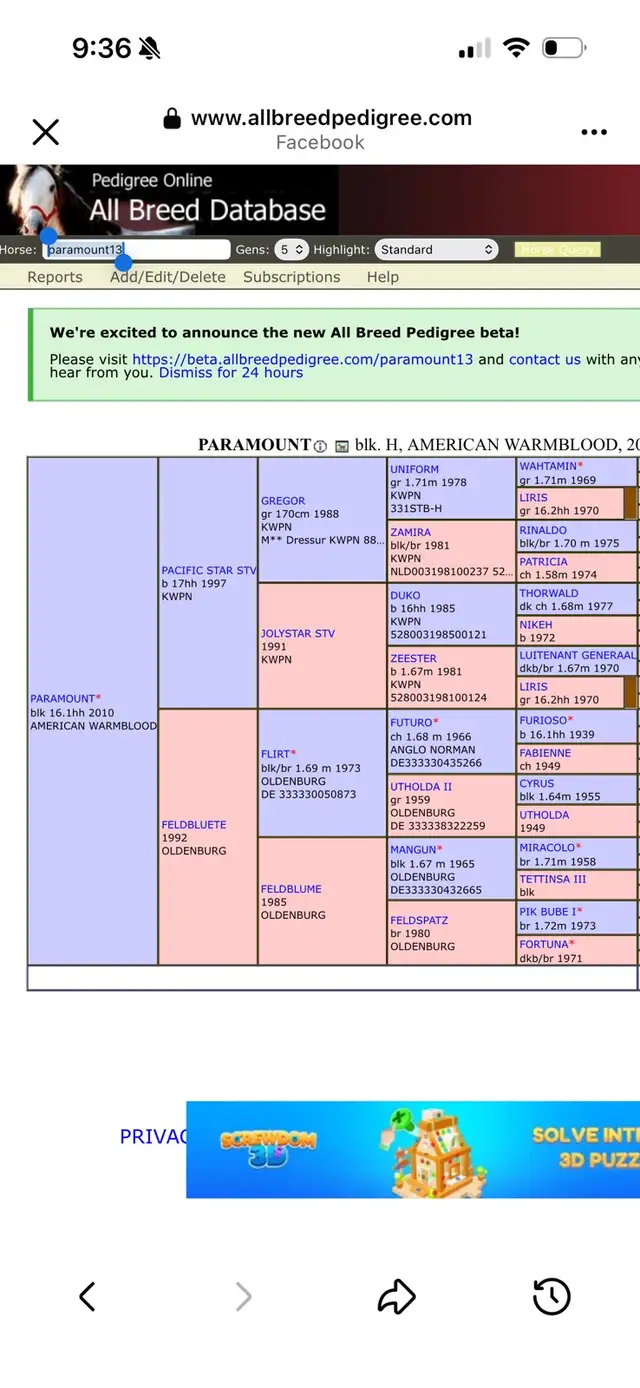 2 year old wb cross - Photo 8