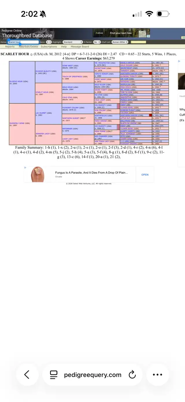 2 year old wb cross - Photo 9