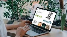 Professional Website Creation – Get More Clients - Photo 3