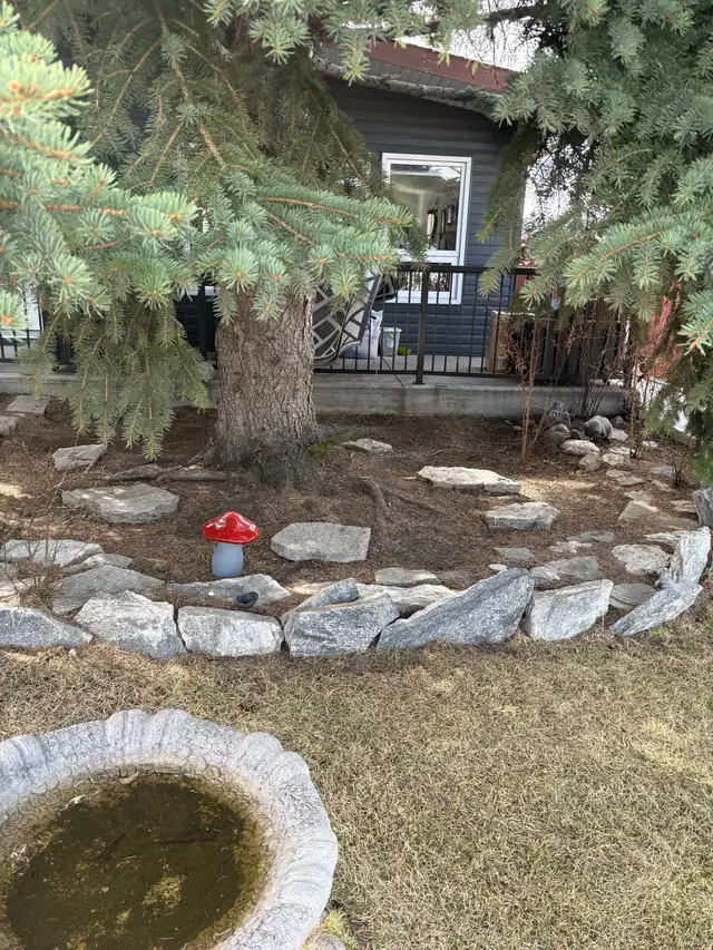 Spring cleanup in South Calgary  and Okotoks area - Photo 2