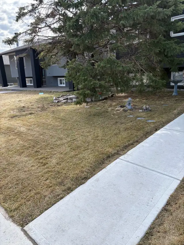 Spring cleanup in South Calgary  and Okotoks area - Photo 4