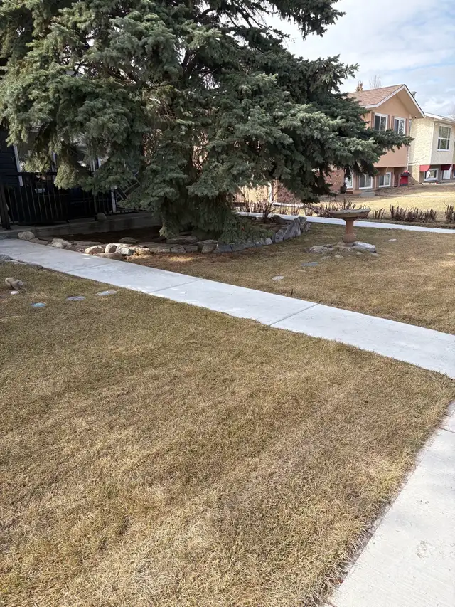 Spring cleanup in South Calgary  and Okotoks area - Photo 5