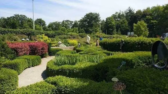 Lawn mower, garden cleaning and maintenance - Photo 3