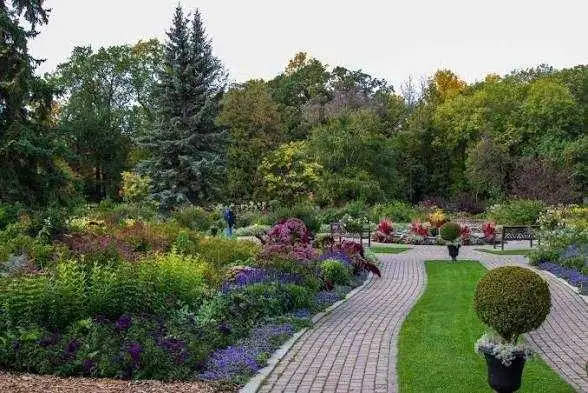 Lawn mower, garden cleaning and maintenance - Photo 7