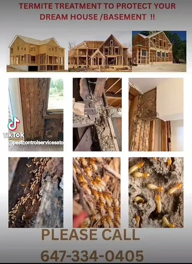 PEST CONTROL, TERMITE TREATMENT AND WILDLIFE REMOVAL ON CALL ! - Photo 4