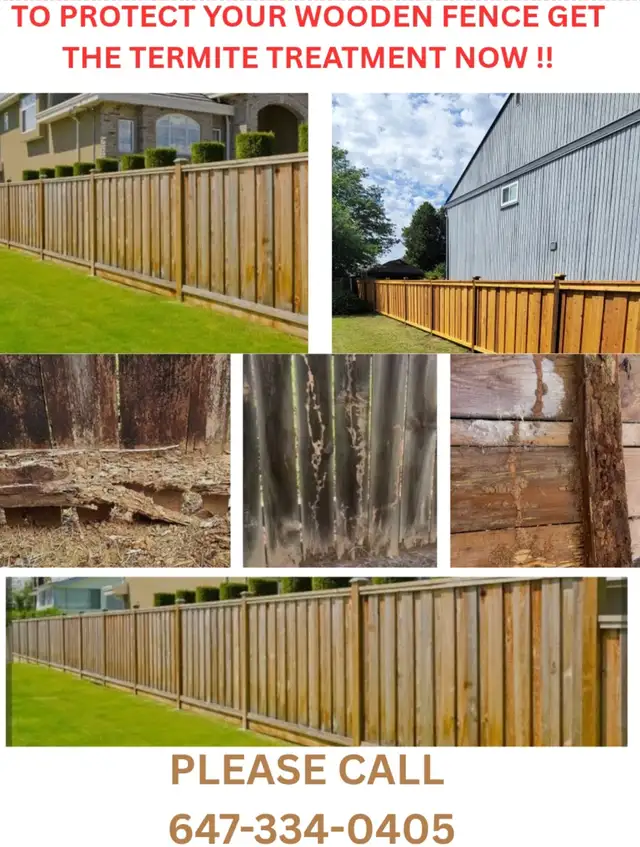 PEST CONTROL, TERMITE TREATMENT AND WILDLIFE REMOVAL ON CALL ! - Photo 6