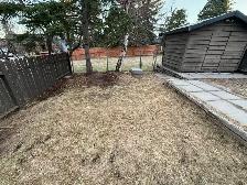 Affordable Lawn Services