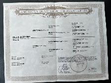 Well Bred 2025 Barrel/Roping Prospect