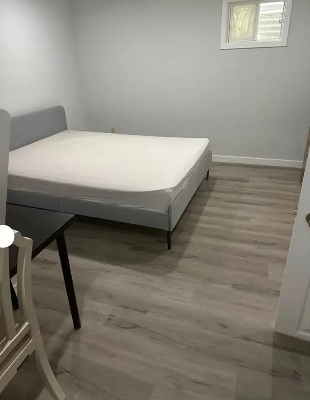 RENT A ROOM IN BASMENT AT YONGE SND STEELS - Photo 2