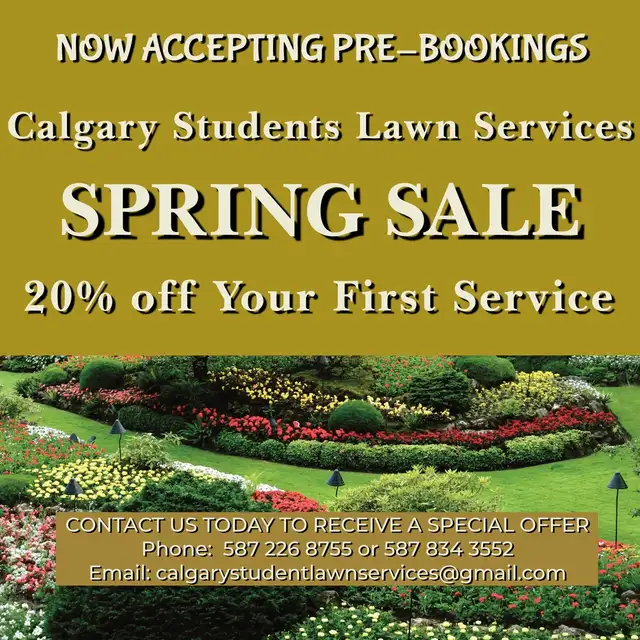 Spring Cleanup - Discounted Service