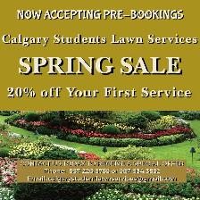 Spring Cleanup - Discounted Service