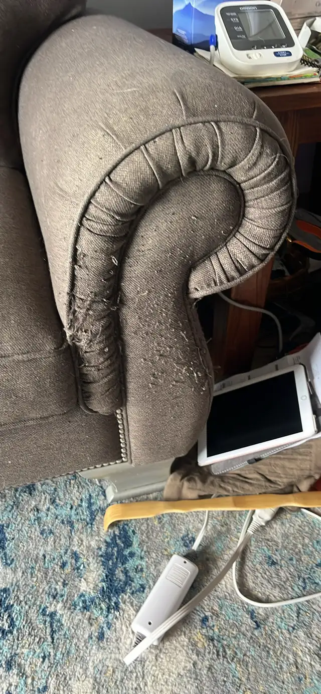 couch for free - Photo 3