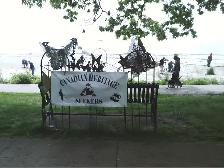 Niagara Region Metal Detecting Club