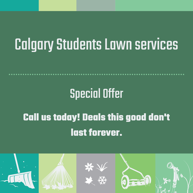 Lawn Care for Seniors | Reliable, Respectful & Affordable Help