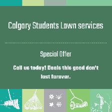 Lawn Care for Seniors | Reliable, Respectful & Affordable Help