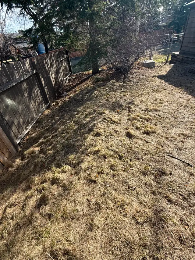 Lawn Care for Your Parents | Reliable, Trusted Local Students - Photo 2