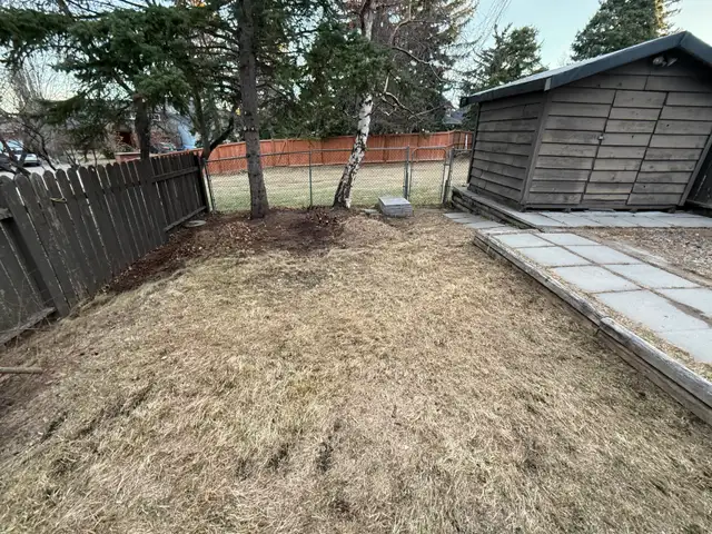 Lawn Care for Your Parents | Reliable, Trusted Local Students - Photo 3