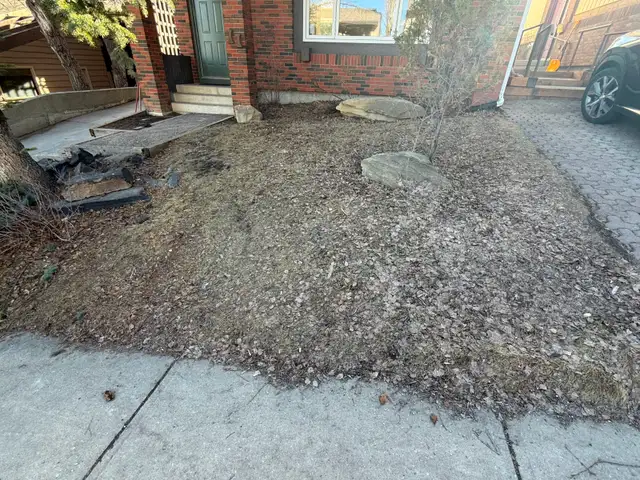 Lawn Care for Your Parents | Reliable, Trusted Local Students - Photo 5