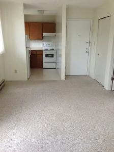 Large 1-Bedroom Apartment for Rent Near Downtown Victoria