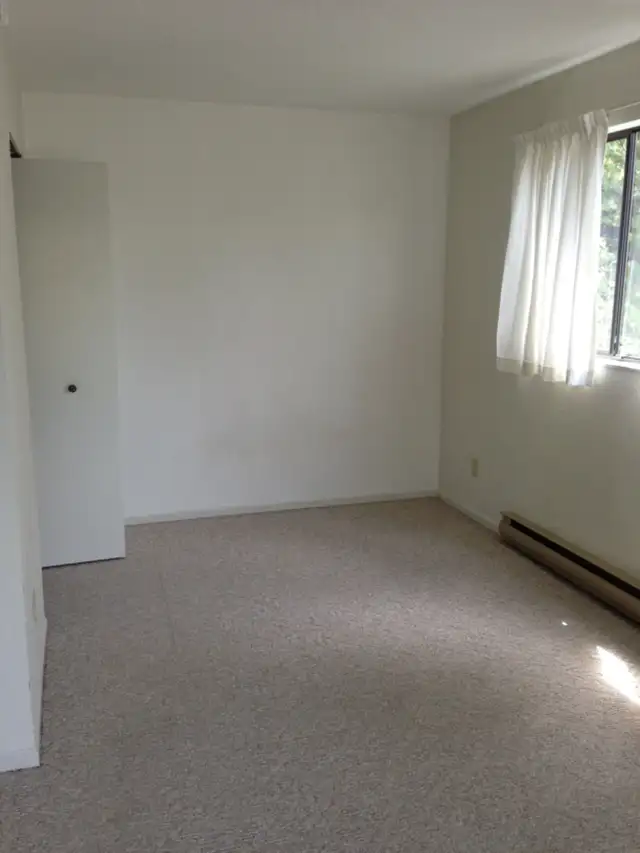 Large 1-Bedroom Apartment for Rent Near Downtown Victoria - Photo 2