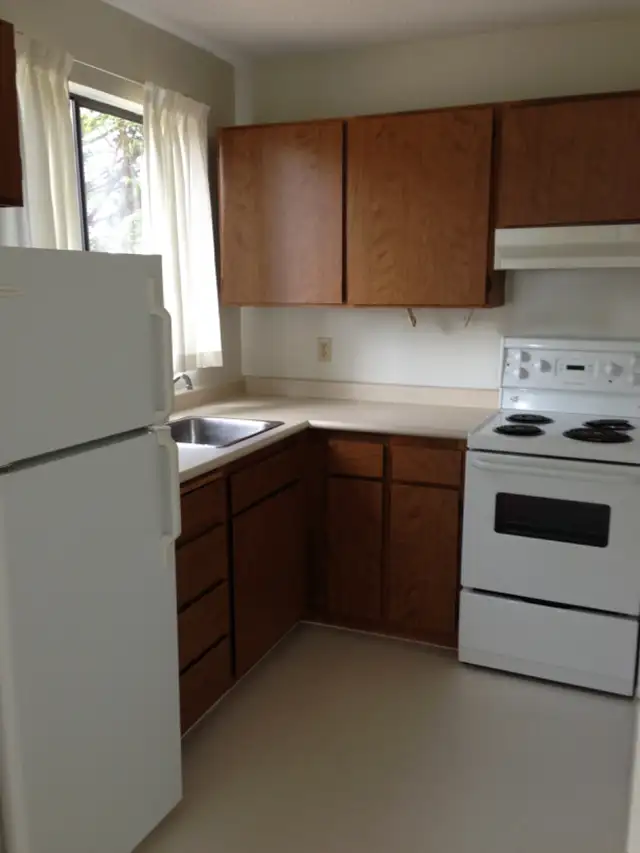 Large 1-Bedroom Apartment for Rent Near Downtown Victoria - Photo 3