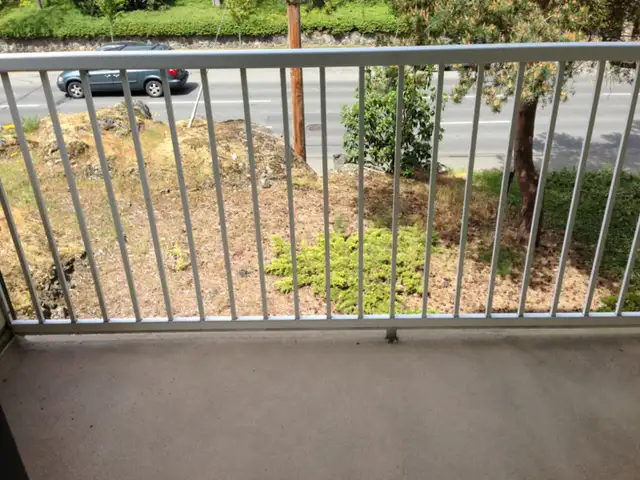 Large 1-Bedroom Apartment for Rent Near Downtown Victoria - Photo 4