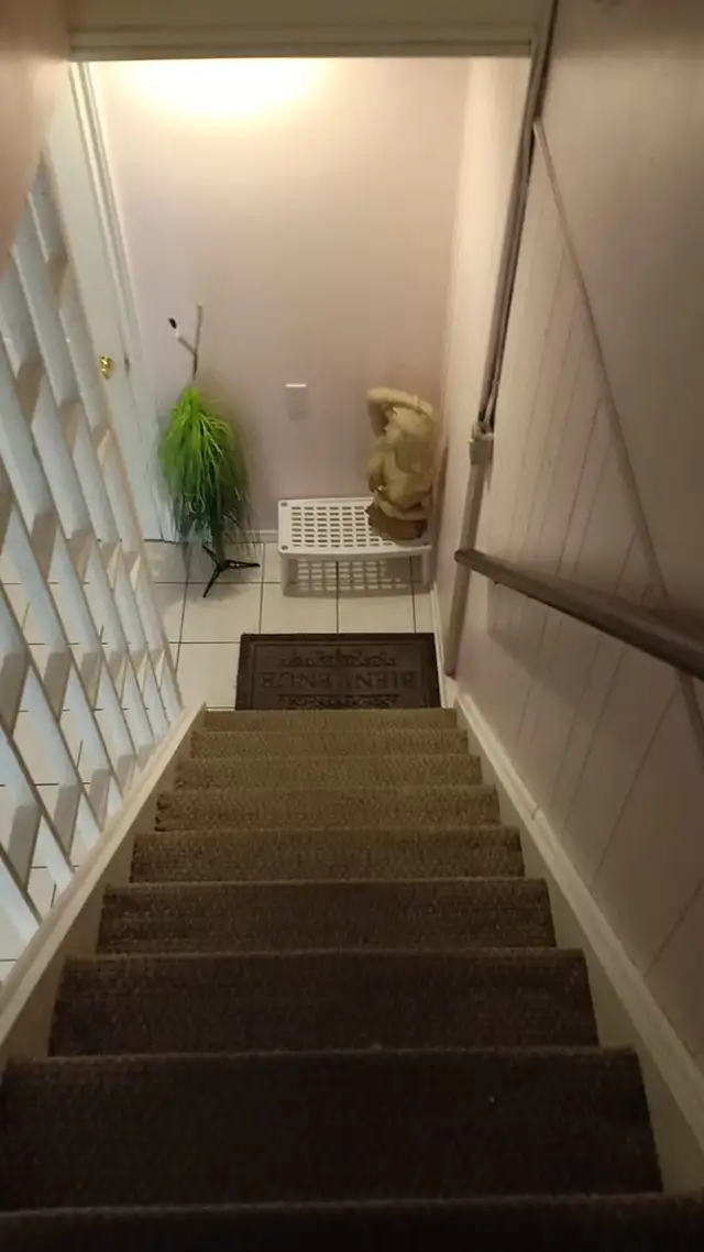 Newly Renovated Luxurious furnished basement available for rent - Photo 2