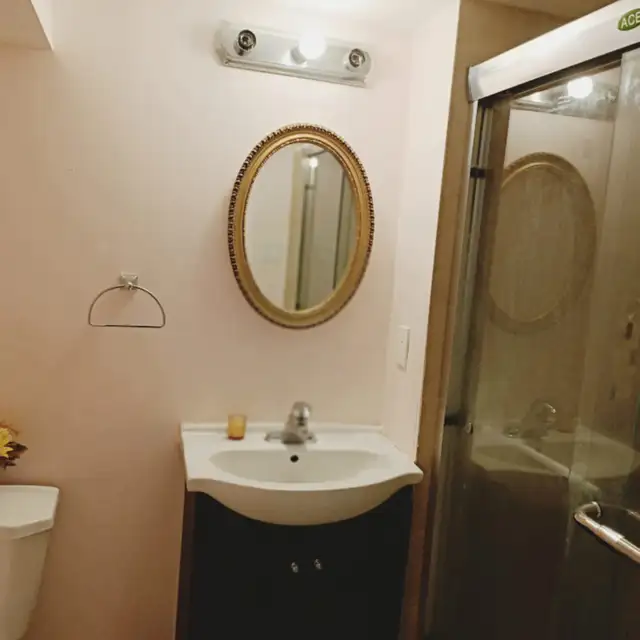 Newly Renovated Luxurious furnished basement available for rent - Photo 9