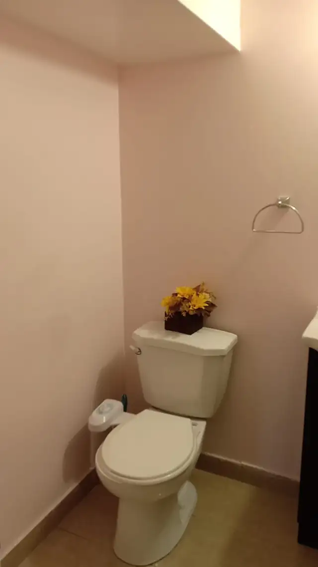 Newly Renovated Luxurious furnished basement available for rent - Photo 10