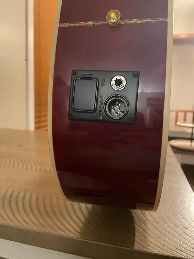 Oscar Smidt Washburn/Electric Acoustic - Photo 7