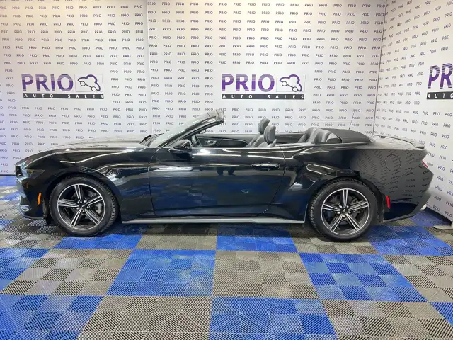 2025 Ford Mustang - Photo 2