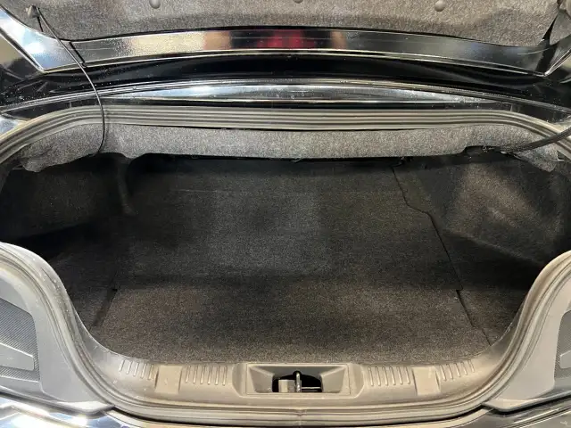 2025 Ford Mustang - Photo 6