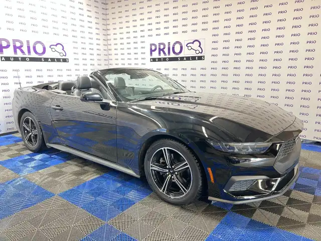 2025 Ford Mustang - Photo 7