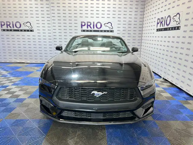 2025 Ford Mustang - Photo 8