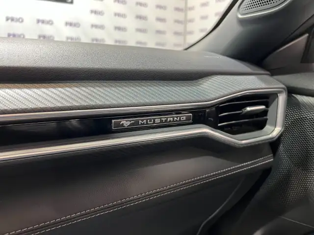 2025 Ford Mustang - Photo 28