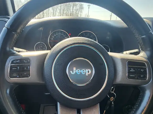 2017 JEEP WRANGLER UNLIMITED BIG BEAR - Photo 17